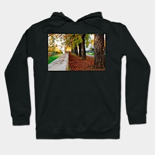 Autumn Path Hoodie